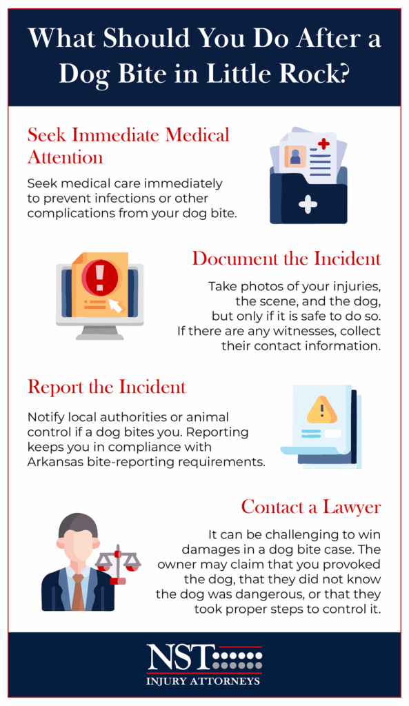Infographic showing what to do after a dog bite accident