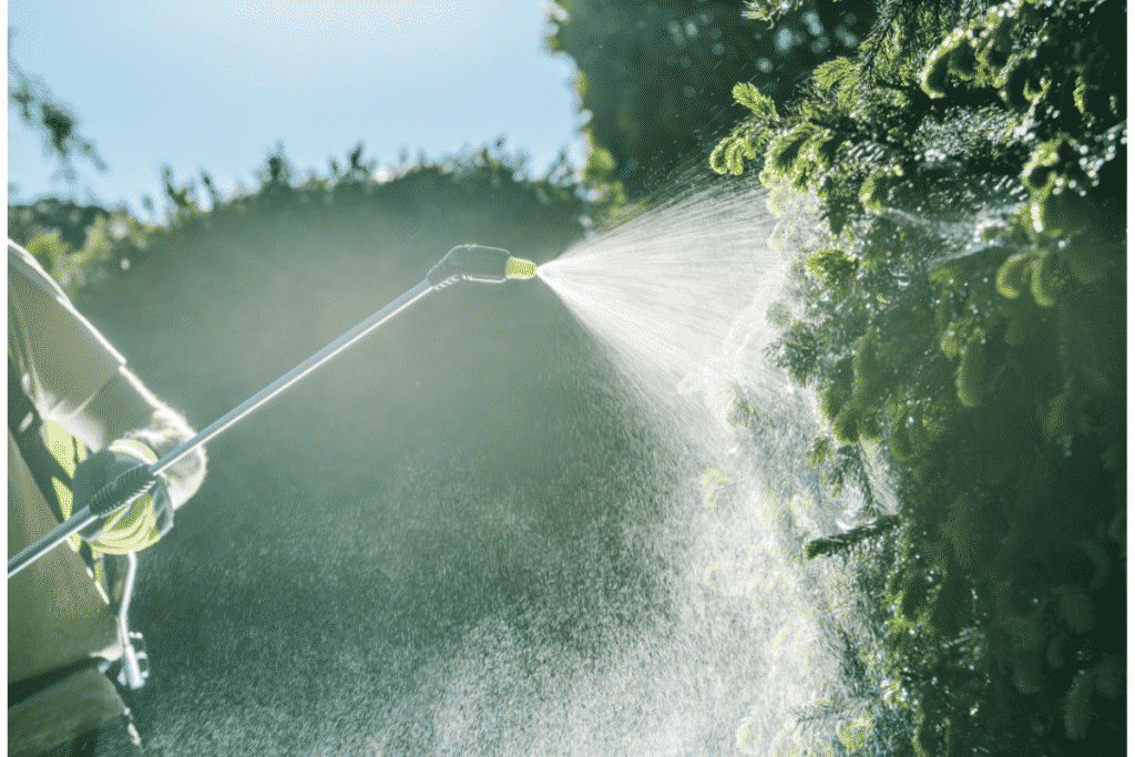 Spraying Plants with Herbicide